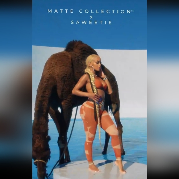 Matte Saweetie Collection 3 Piece Swimsuit Beach Bikini Set (L) - Picture 4 of 10